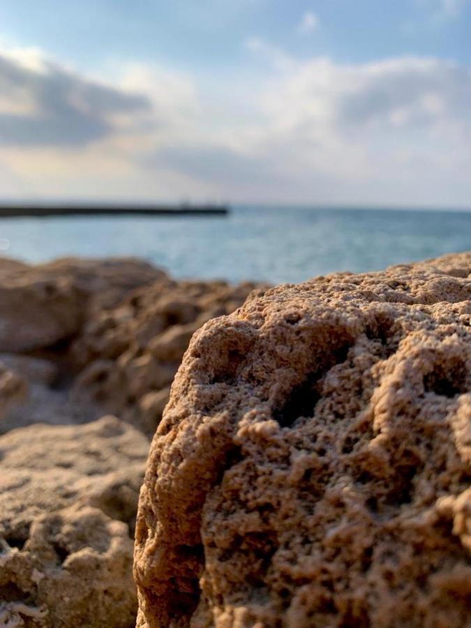 :in The Front Of The Sea Apartment Caesarea